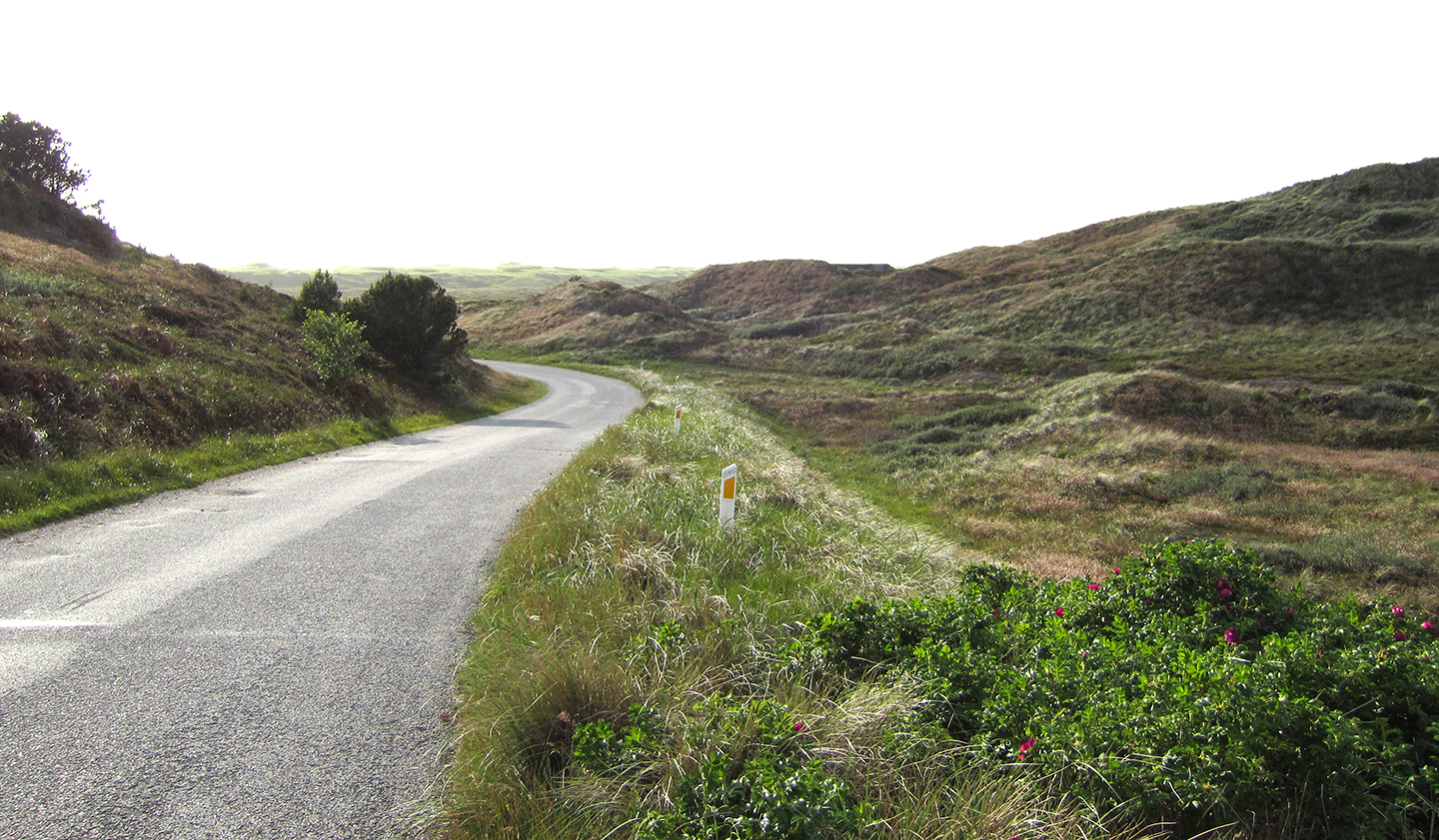 Küstenstrasse von Nymindegab nach Houstrup Strand